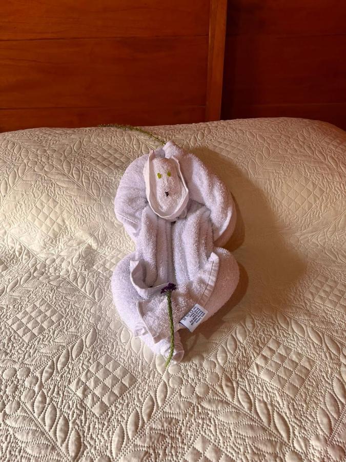 Cabanas Fortuna Syc ラ・フォルトゥナ エクステリア 写真